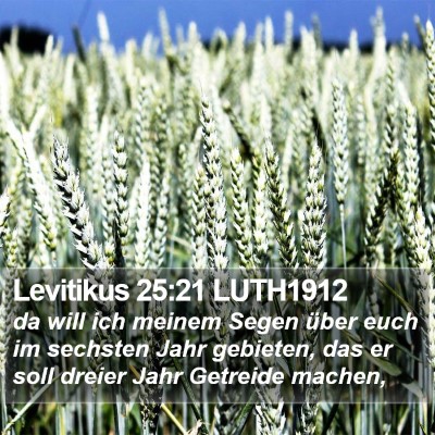 Levitikus 25:21 LUTH1912 Bible Verse Image