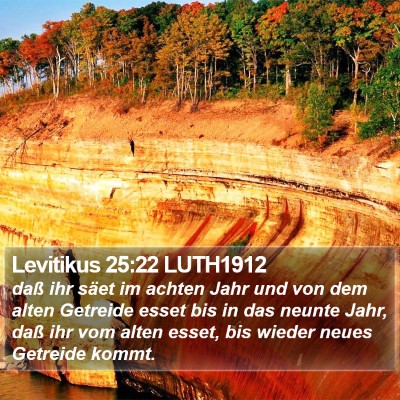 Levitikus 25:22 LUTH1912 Bible Verse Image