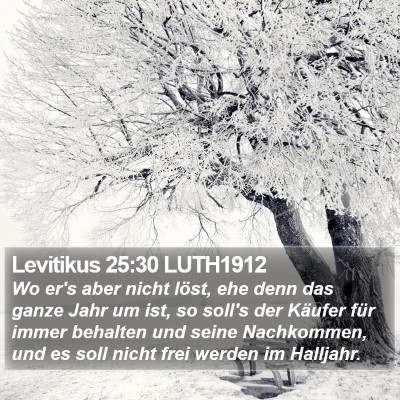 Levitikus 25:30 LUTH1912 Bible Verse Image