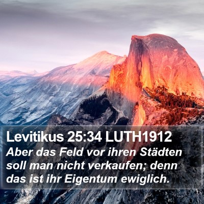 Levitikus 25:34 LUTH1912 Bible Verse Image