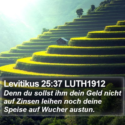 Levitikus 25:37 LUTH1912 Bible Verse Image