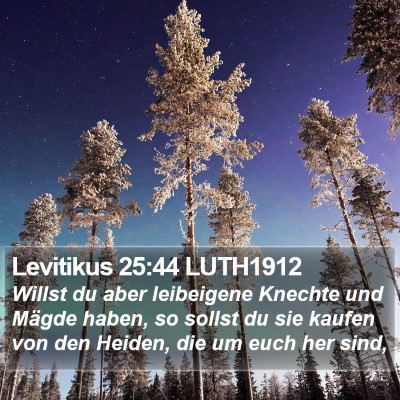 Levitikus 25:44 LUTH1912 Bible Verse Image