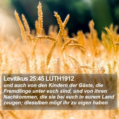 Levitikus 25:45 LUTH1912 Bible Verse Image
