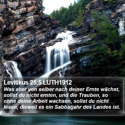 Levitikus 25:5 LUTH1912 Bible Verse Image