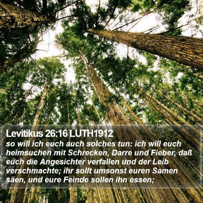 Levitikus 26:16 LUTH1912 Bible Verse Image