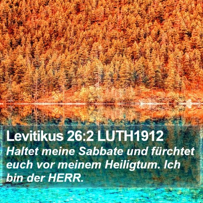 Levitikus 26:2 LUTH1912 Bible Verse Image