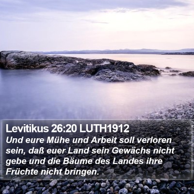 Levitikus 26:20 LUTH1912 Bible Verse Image