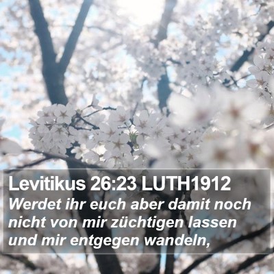 Levitikus 26:23 LUTH1912 Bible Verse Image
