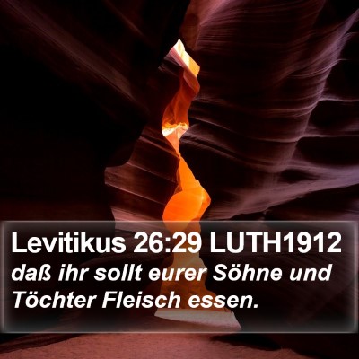 Levitikus 26:29 LUTH1912 Bible Verse Image