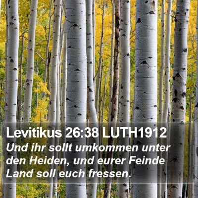 Levitikus 26:38 LUTH1912 Bible Verse Image