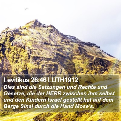 Levitikus 26:46 LUTH1912 Bible Verse Image