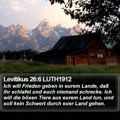 Levitikus 26:6 LUTH1912 Bible Verse Image