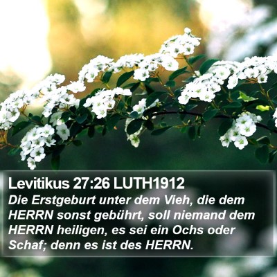 Levitikus 27:26 LUTH1912 Bible Verse Image