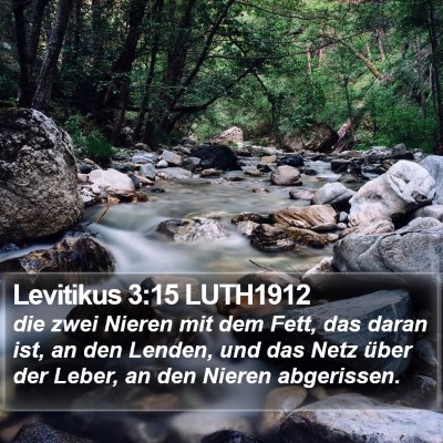 Levitikus 3:15 LUTH1912 Bible Verse Image