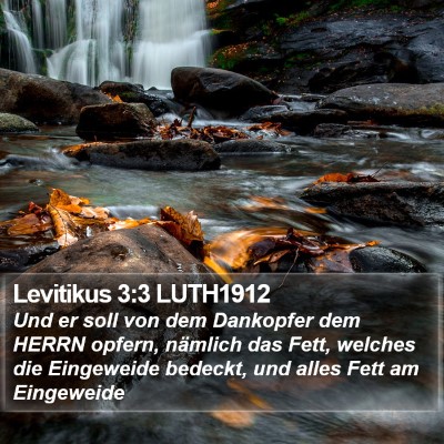 Levitikus 3:3 LUTH1912 Bible Verse Image
