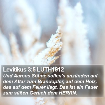 Levitikus 3:5 LUTH1912 Bible Verse Image