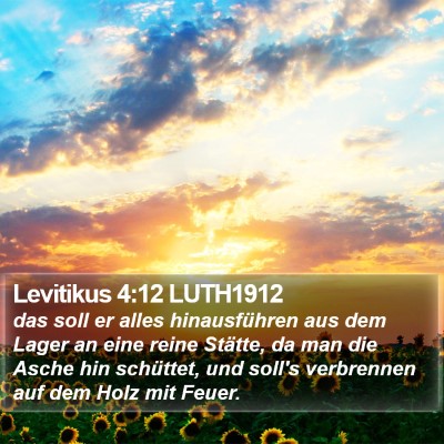 Levitikus 4:12 LUTH1912 Bible Verse Image