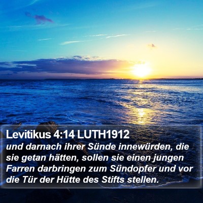 Levitikus 4:14 LUTH1912 Bible Verse Image