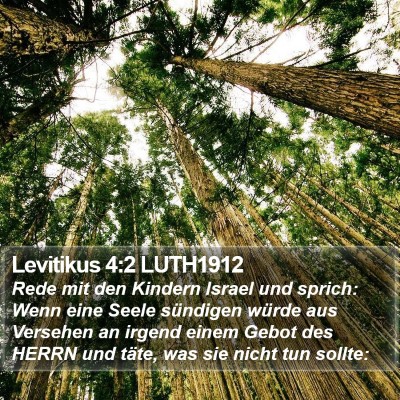 Levitikus 4:2 LUTH1912 Bible Verse Image