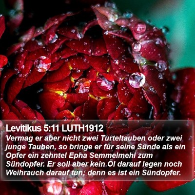 Levitikus 5:11 LUTH1912 Bible Verse Image