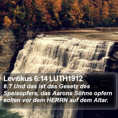 Levitikus 6:14 LUTH1912 Bible Verse Image