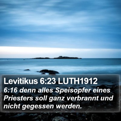 Levitikus 6:23 LUTH1912 Bible Verse Image
