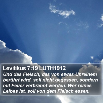 Levitikus 7:19 LUTH1912 Bible Verse Image