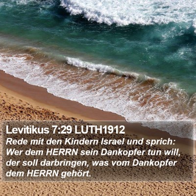 Levitikus 7:29 LUTH1912 Bible Verse Image