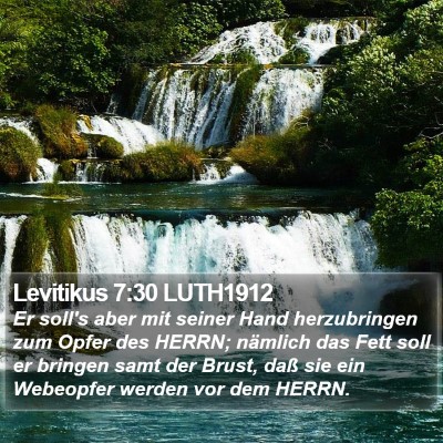 Levitikus 7:30 LUTH1912 Bible Verse Image
