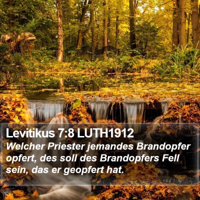 Levitikus 7:8 LUTH1912 Bible Verse Image