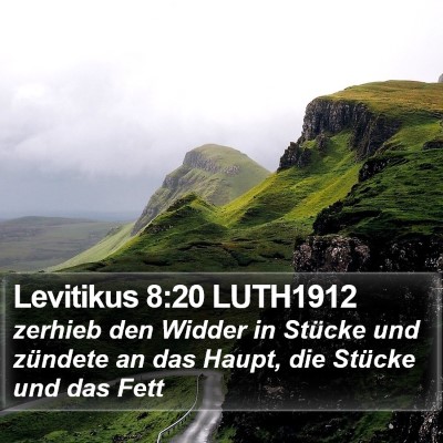Levitikus 8:20 LUTH1912 Bible Verse Image