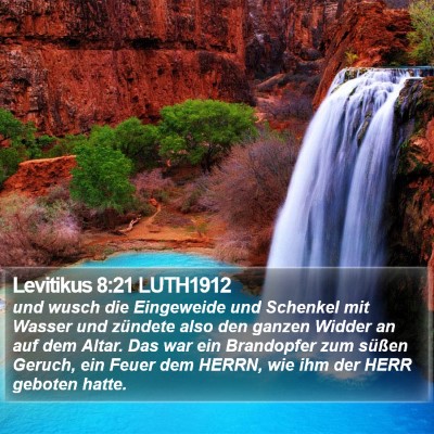 Levitikus 8:21 LUTH1912 Bible Verse Image