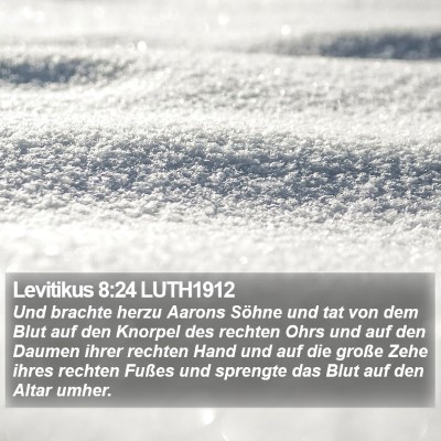 Levitikus 8:24 LUTH1912 Bible Verse Image