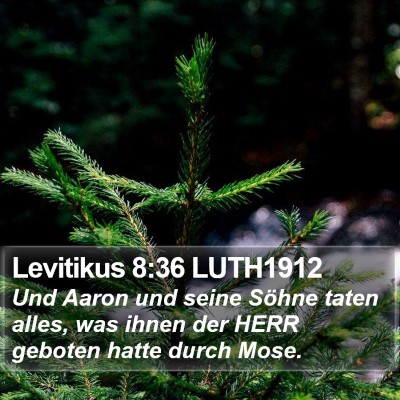 Levitikus 8:36 LUTH1912 Bible Verse Image