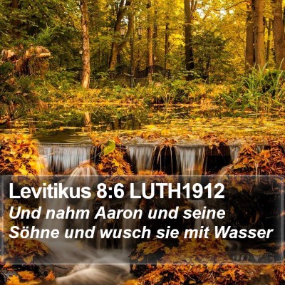 Levitikus 8:6 LUTH1912 Bible Verse Image