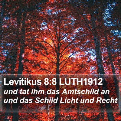 Levitikus 8:8 LUTH1912 Bible Verse Image