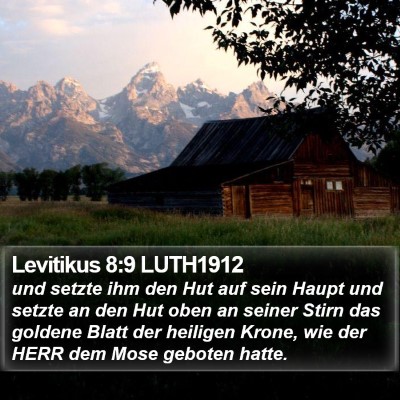Levitikus 8:9 LUTH1912 Bible Verse Image