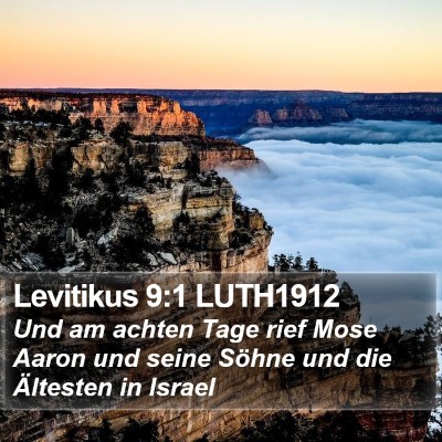 Levitikus 9:1 LUTH1912 Bible Verse Image