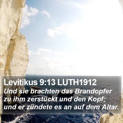 Levitikus 9:13 LUTH1912 Bible Verse Image