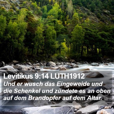 Levitikus 9:14 LUTH1912 Bible Verse Image