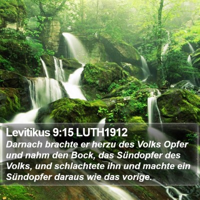 Levitikus 9:15 LUTH1912 Bible Verse Image