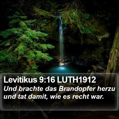 Levitikus 9:16 LUTH1912 Bible Verse Image