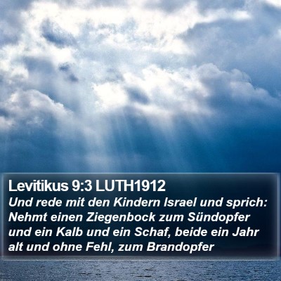 Levitikus 9:3 LUTH1912 Bible Verse Image