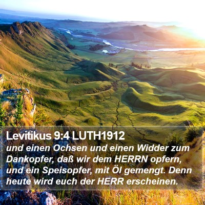 Levitikus 9:4 LUTH1912 Bible Verse Image