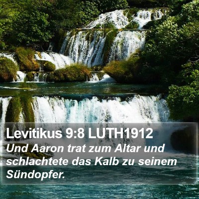 Levitikus 9:8 LUTH1912 Bible Verse Image