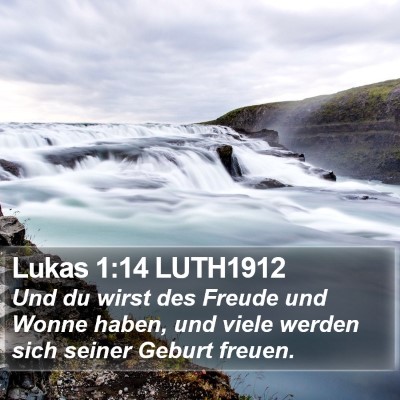 Lukas 1:14 LUTH1912 Bible Verse Image