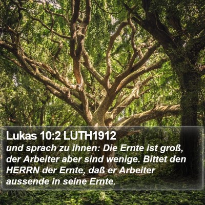 Lukas 10:2 LUTH1912 Bible Verse Image