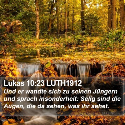 Lukas 10:23 LUTH1912 Bible Verse Image