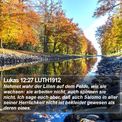 Lukas 12:27 LUTH1912 Bible Verse Image