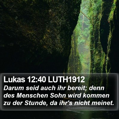 Lukas 12:40 LUTH1912 Bible Verse Image
